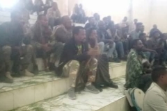 WhatsApp Image 2025-01-27 at 2.34.54 PM